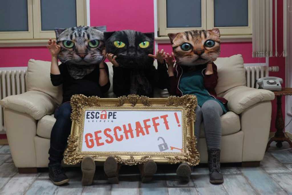 Operation Pussycat Katzenraum